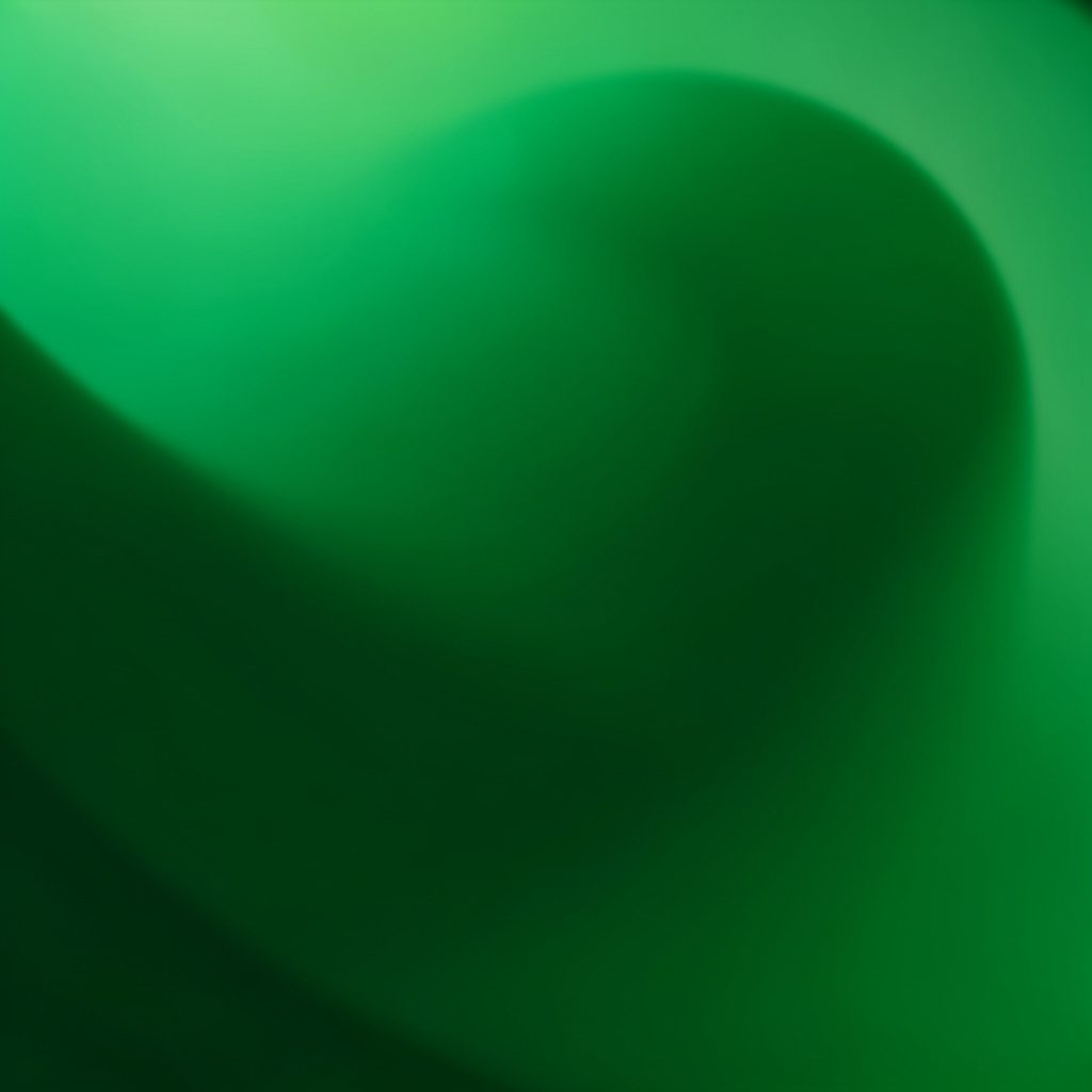 Simple funding finder form interface mockup in green and white tones suggesting a step-by-step business search tool