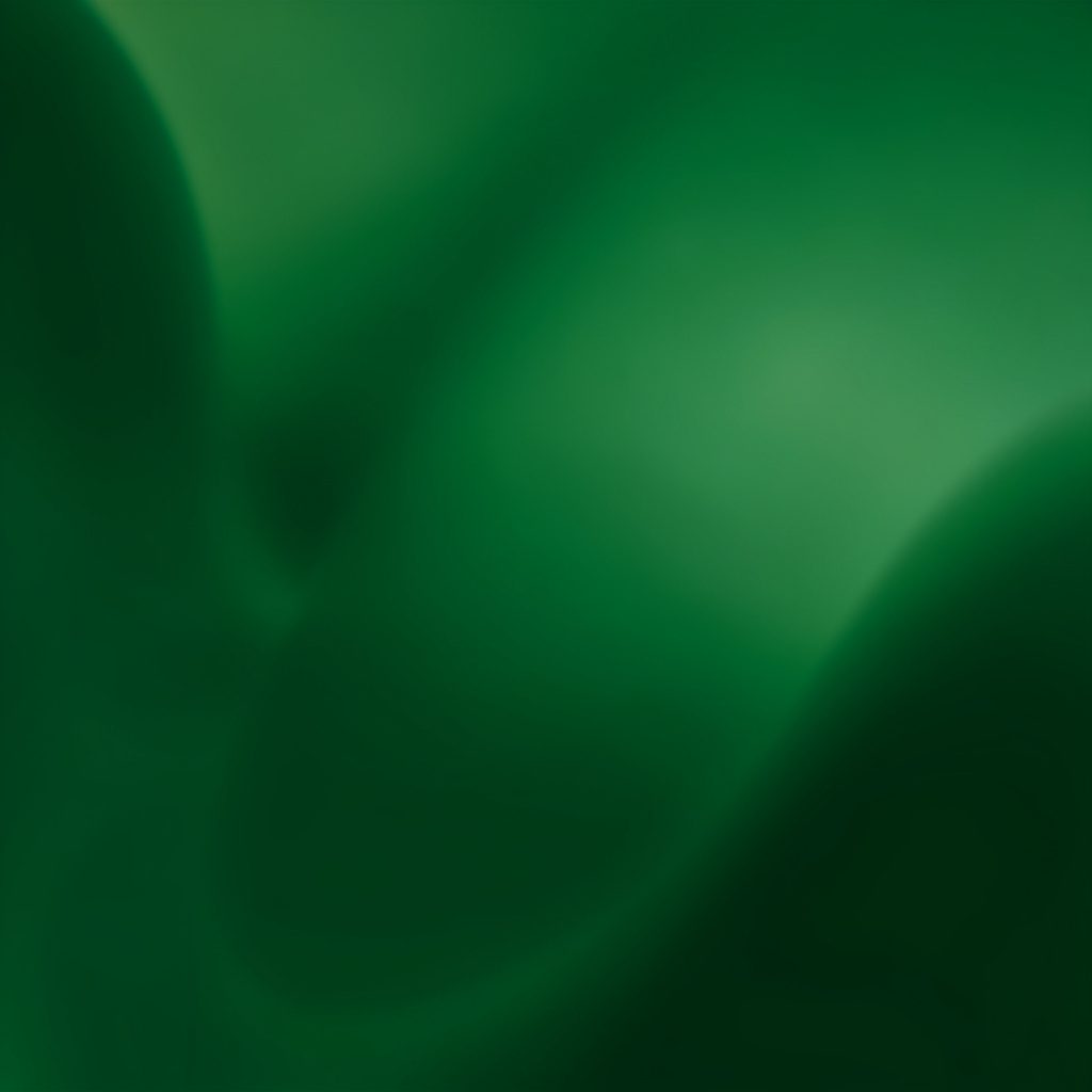 Wide green gradient banner with soft light rays evoking growth and opportunity for New Zealand businesses